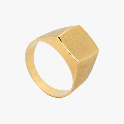 Anillo sello oro amarillo 18kt - 30541C